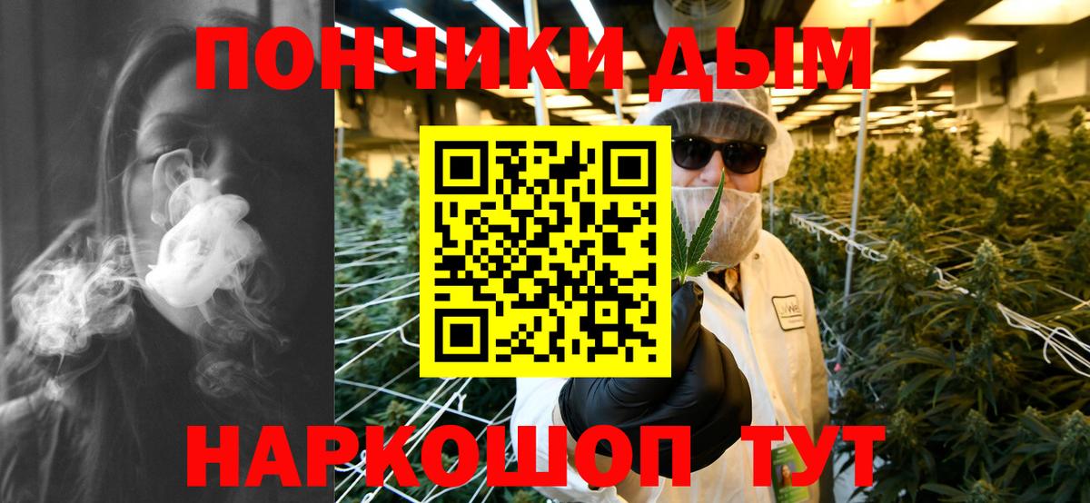 Шишки марихуана гибрид Дубна