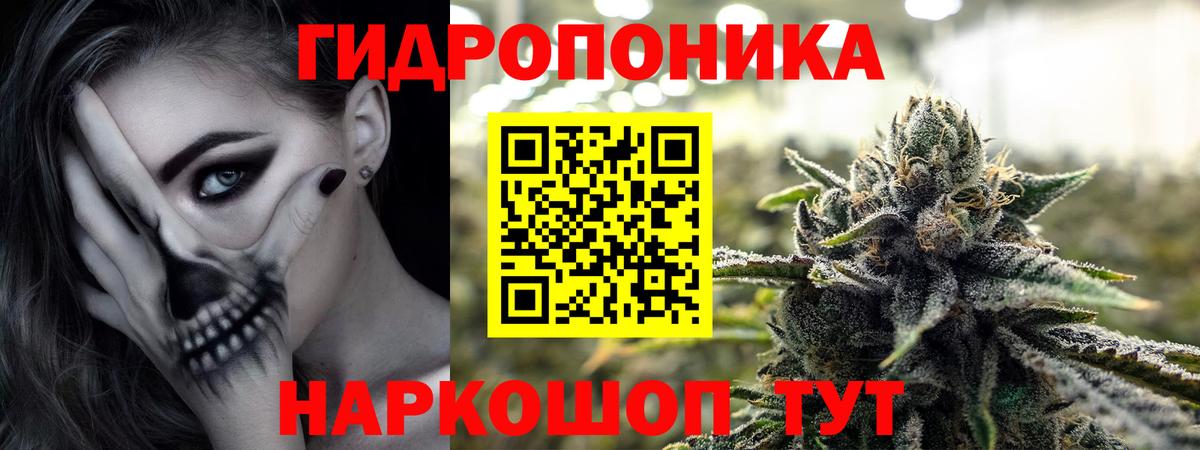 Дубна  МАРИХУАНА тримм  Бошки Шишки марихуана  Каннабис план  Вход с VPN 